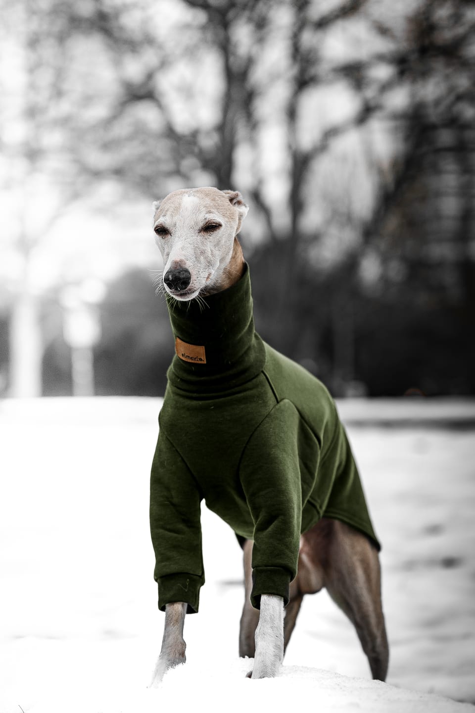 Customer photo review of Aspen "Mountain Green"