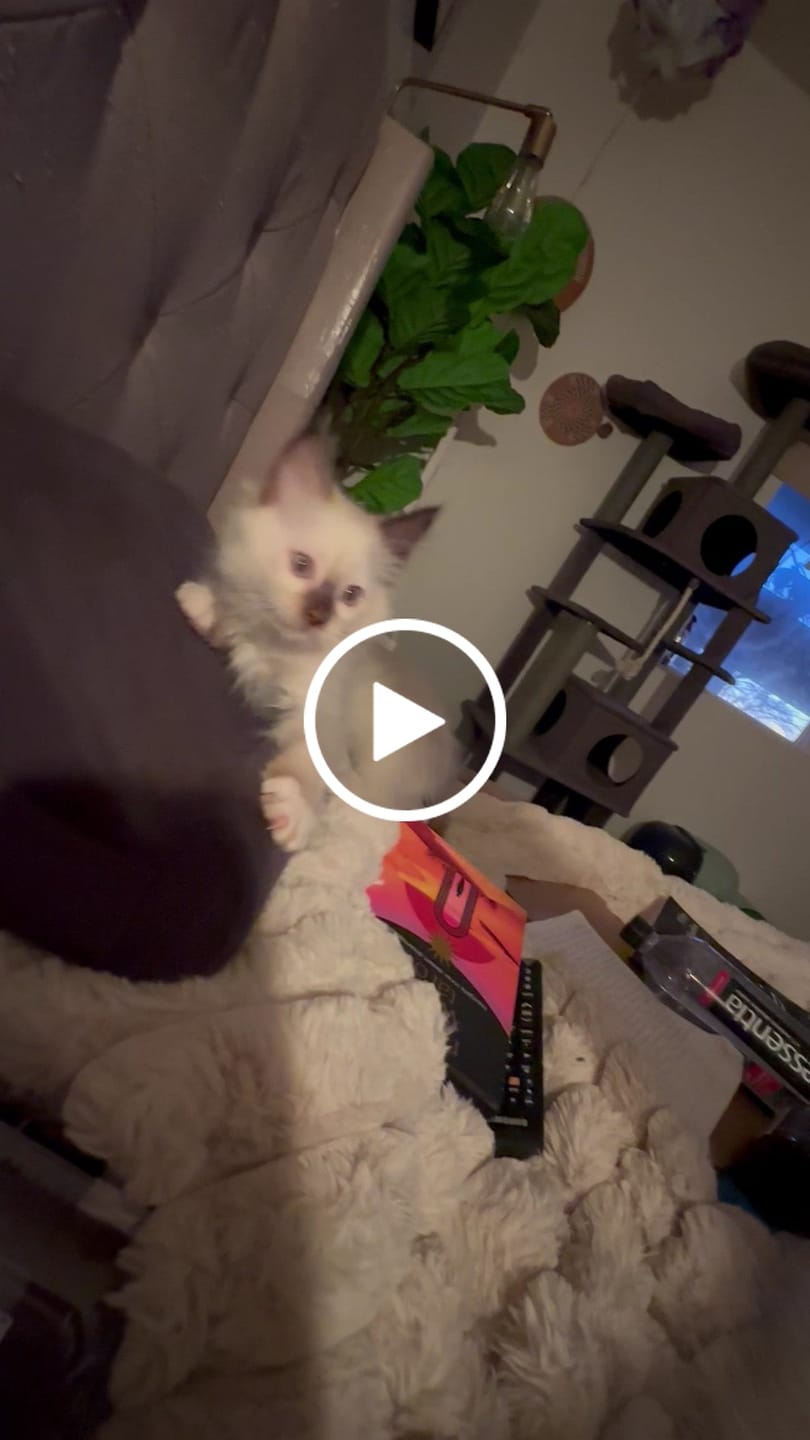 Customer video review of Basic Fecal Parasite Test (Screen or Recheck)
