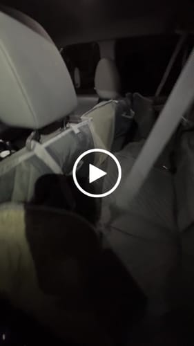 Customer video review of NEW Waterproof Hard Bottom Car & Truck Seat Foldable Hammock Cover With Storage Pockets, Side Flaps, Headrest Straps, Seat Anchors, & Mesh Window (+FREE SAFETY BELT!)