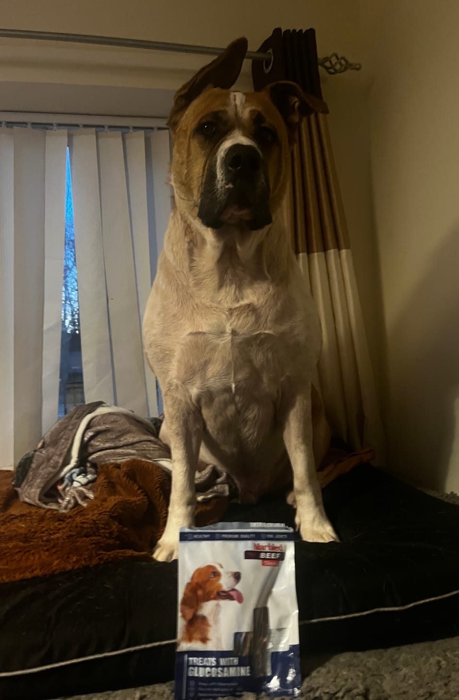 Customer photo review of BIG PACK: 85 grams Marbled Beef Slices