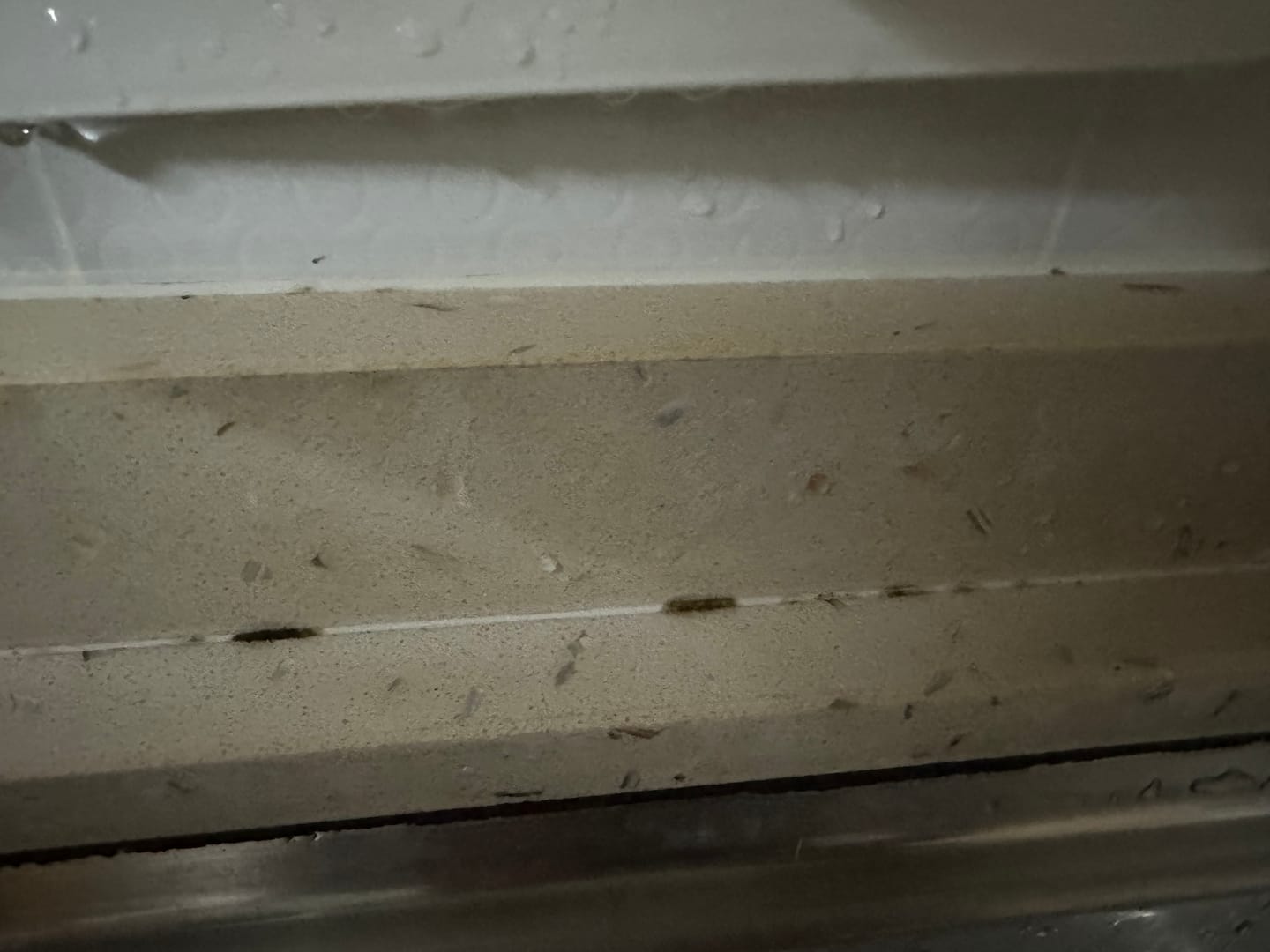 Customer photo review of Mold Remover Spray