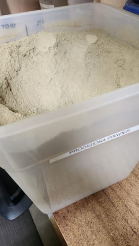 Customer photo review of Prodigiosa Powder - 10 lbs.