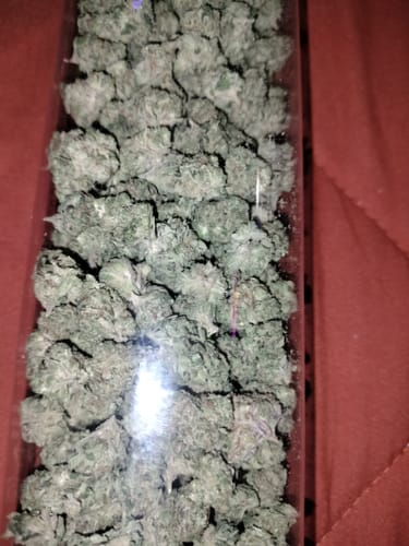 Customer photo review of Wedding Cake - Greenhouse THCA (Smalls)