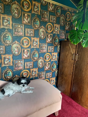 Customer photo review of Regal Beasts - Whimsical Animal Wallpaper - Navy