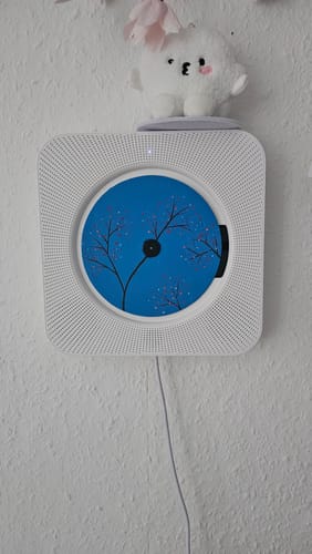 Customer photo review of ASTRONORD™ CD Player