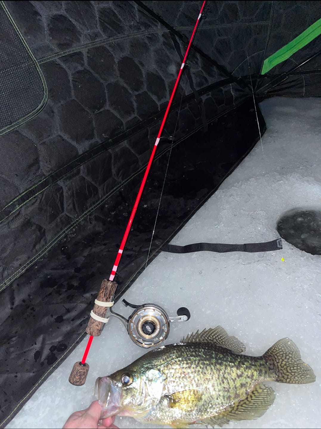 Customer photo review of Custom Power Noodle