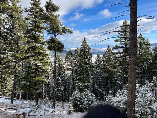 Customer photo review of Men's Alpaca Socks