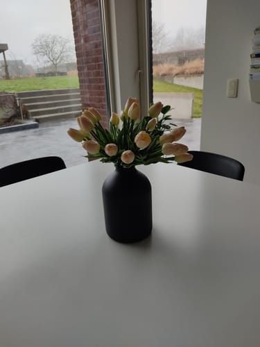 Fotorecensie van een klant over Tulpen Boeket - Oud Roze (25 stengels)