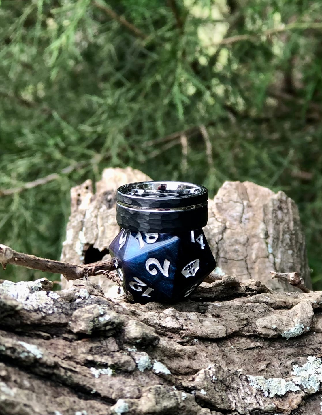 Customer photo review of The Warrior