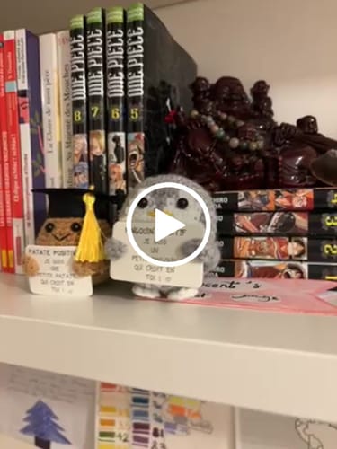 Customer video review of PATATE STUDIEUSE