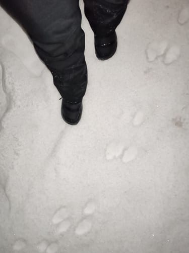 Customer photo review of Vaistoa Hellä | Winter Barefoot Shoes