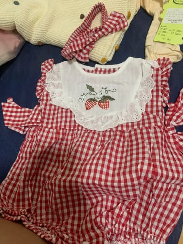 Customer photo review of Strawberry Plaid Embroidered Jumpsuit