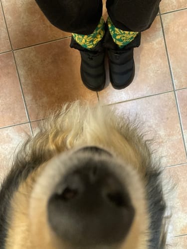 Customer photo review of Vaistoa Hellä | Winter Barefoot Shoes