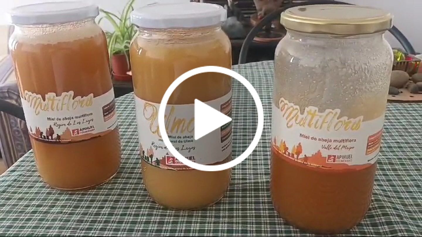Customer video review of Miel de Ulmo 1.3 kg