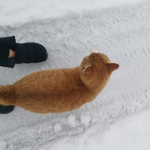 Customer photo review of Vaistoa Hellä | Winter Barefoot Shoes