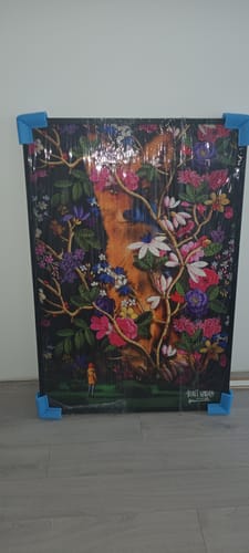 Customer photo review of Paveikslas "Secret Garden"
