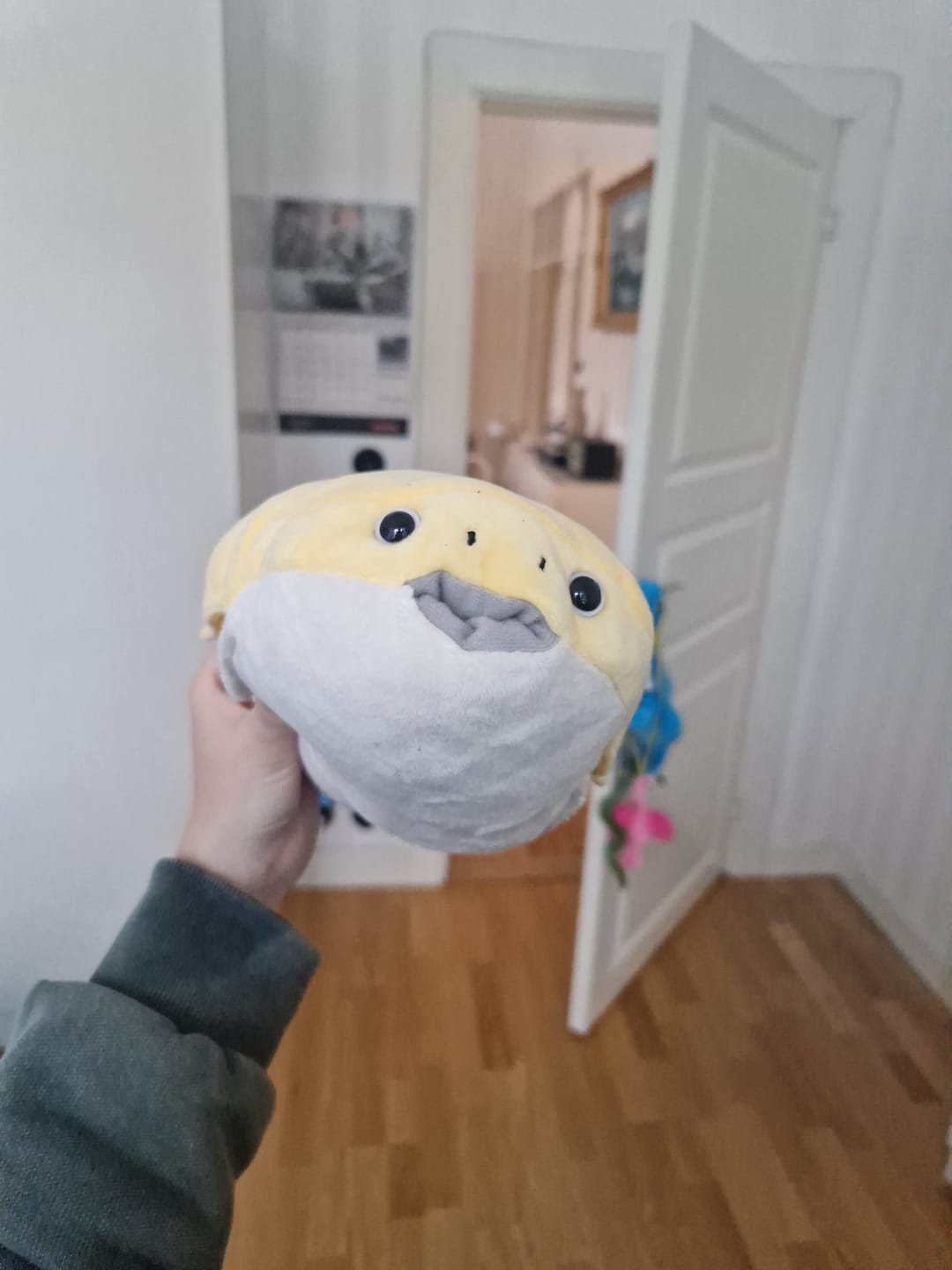 Customer photo review of Sacabambaspis Prehistoric Fish Soft Stuffed Plush Toy