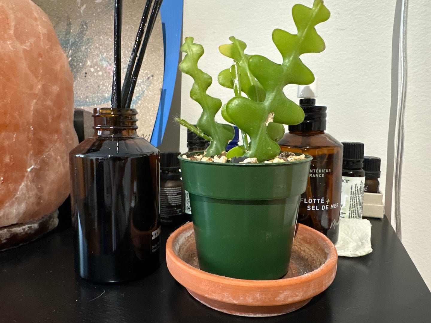 Customer photo review of Cyprès + Poivre blanc