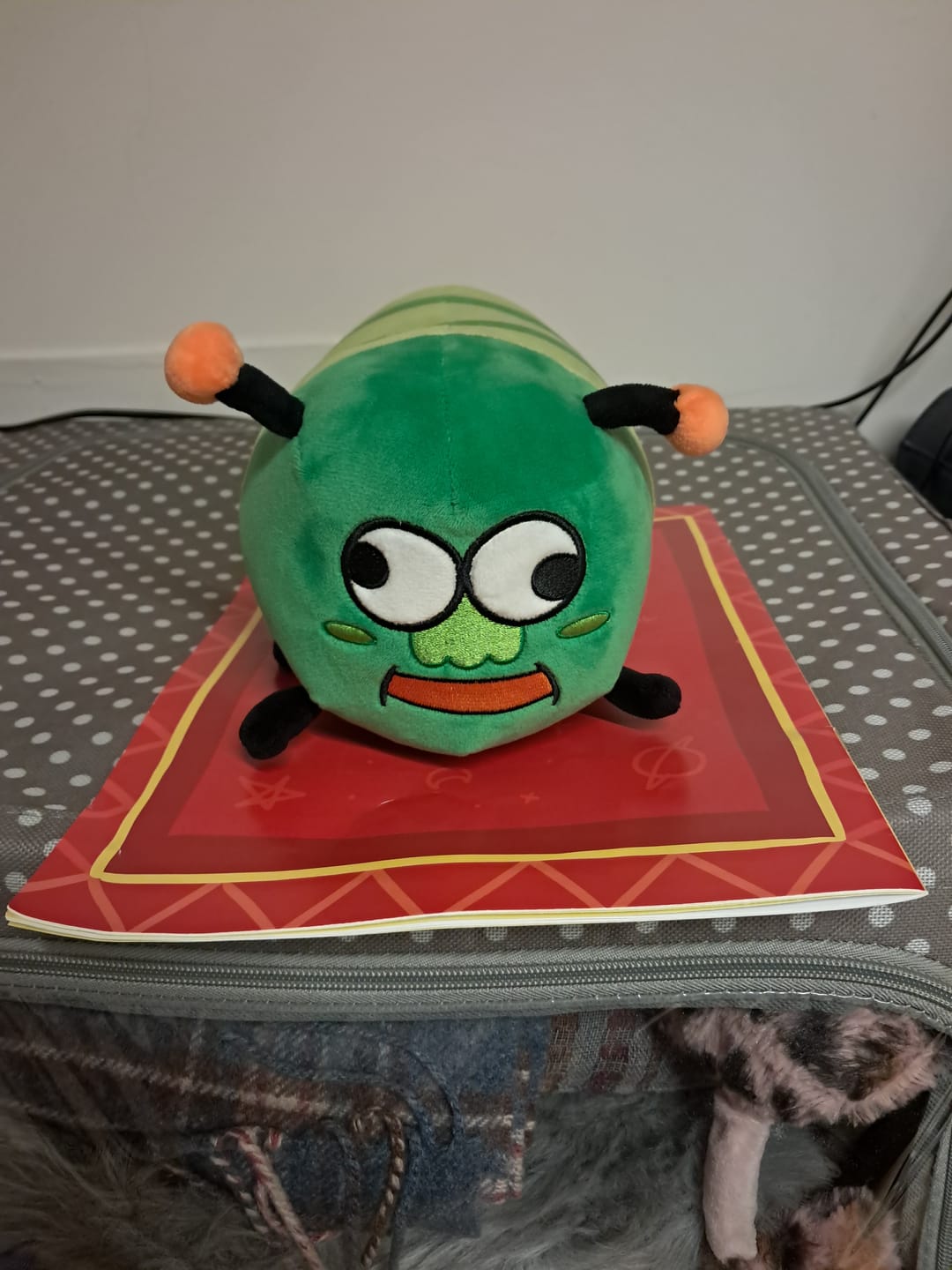 Customer photo review of Peluche Bruco Gianluco + Albo Fumetti e Canzoni!
