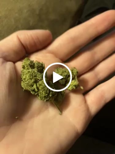 Customer video review of Cadillac Runtz