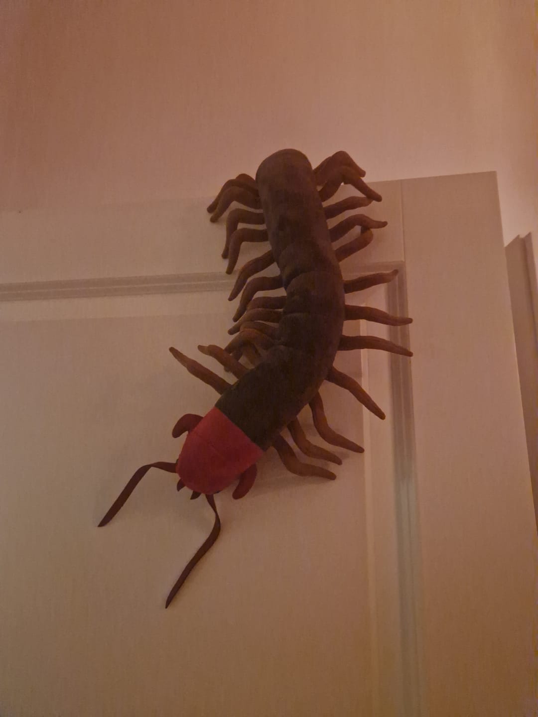 Customer photo review of Chinese Red-Headed Centipede Stuffed Plush Toy
