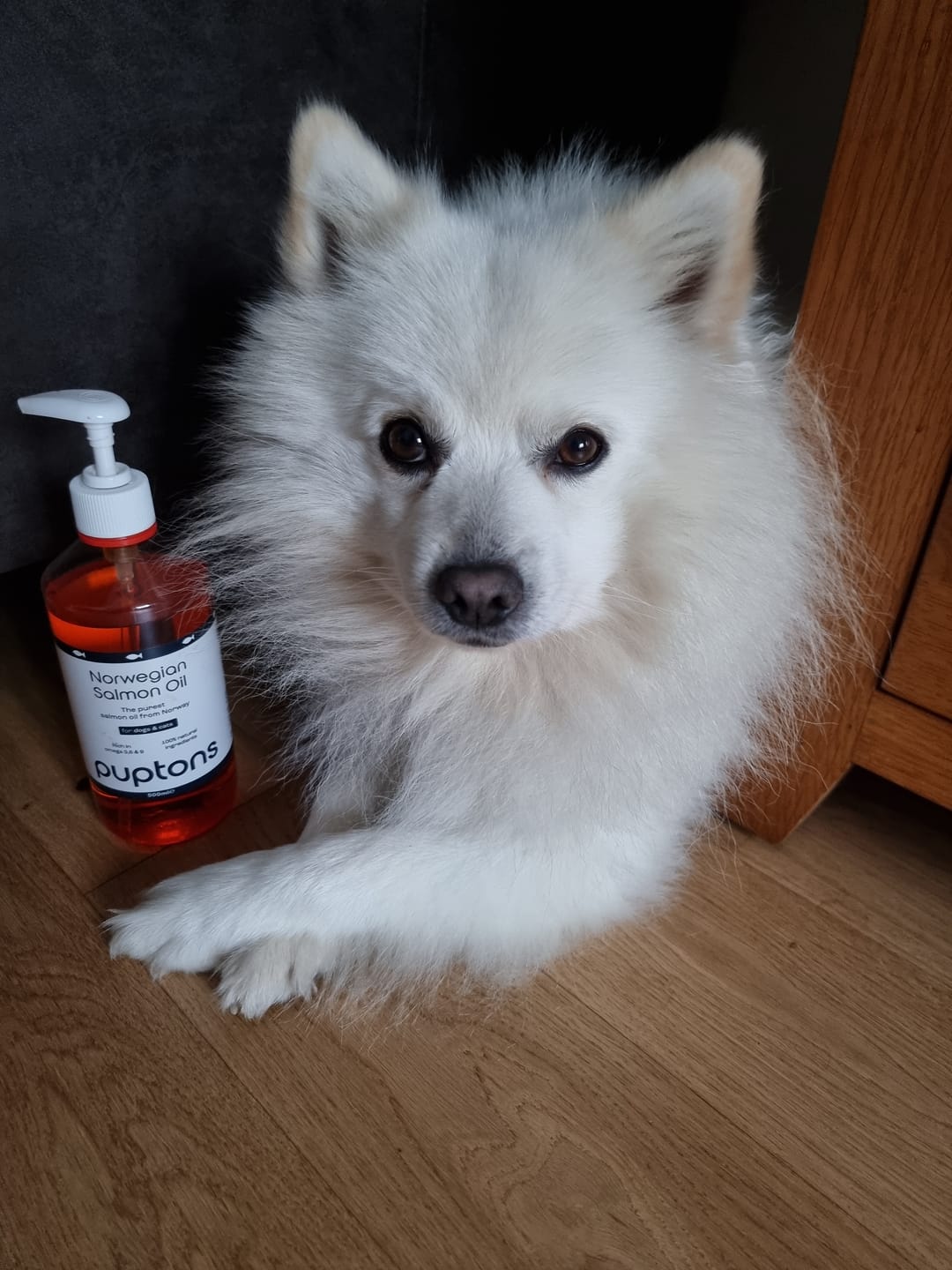 Customer photo review of Norwegian Salmon Oil For Dogs & Cats