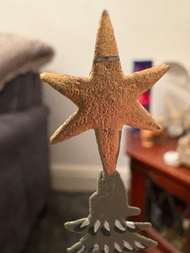 Christine B. review of Shoeless Joe Festive Forest Procession Wooden Ornament image 1 out of 1