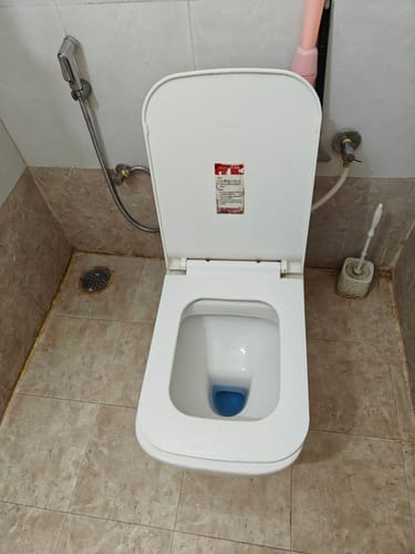 Customer photo review of Heavy Duty Bowl Cleaner + Hard Stains Spray | Combo