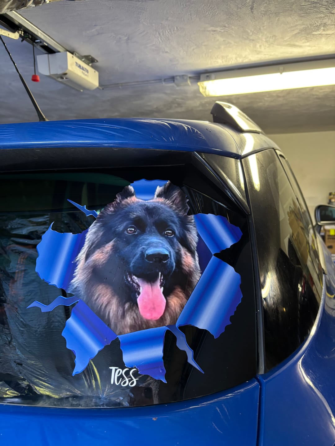 Customer photo review of Photo animal curieux - Autocollant pour voiture personnalisé