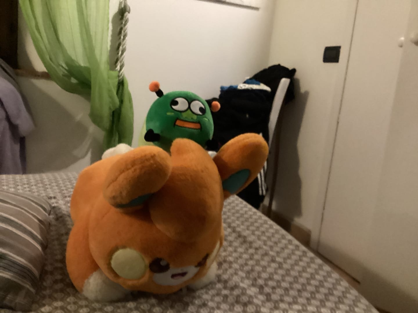 Customer photo review of Peluche Bruco Gianluco + Albo Fumetti e Canzoni!