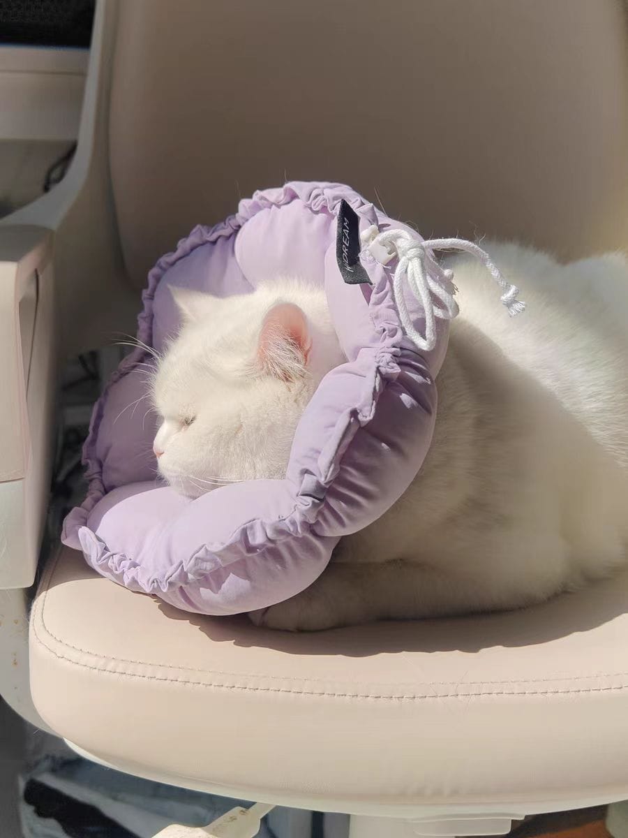 Customer photo review of Upgraded Floral Elizabeth Collar - Comfortable for Eating and Sleeping