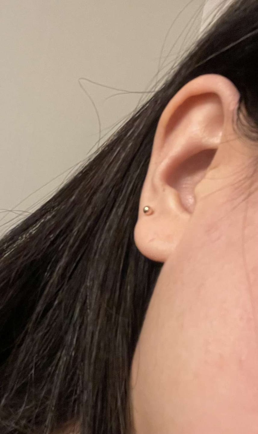 Customer photo review of 14K Gold Ball Cartilage Earring 2mm/2.5mm/3mm/4mm/5mm/6mm 20G