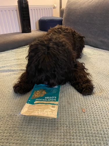 Customer photo review of Frischfutter für Energiebedarf von 576 kCal/Tag