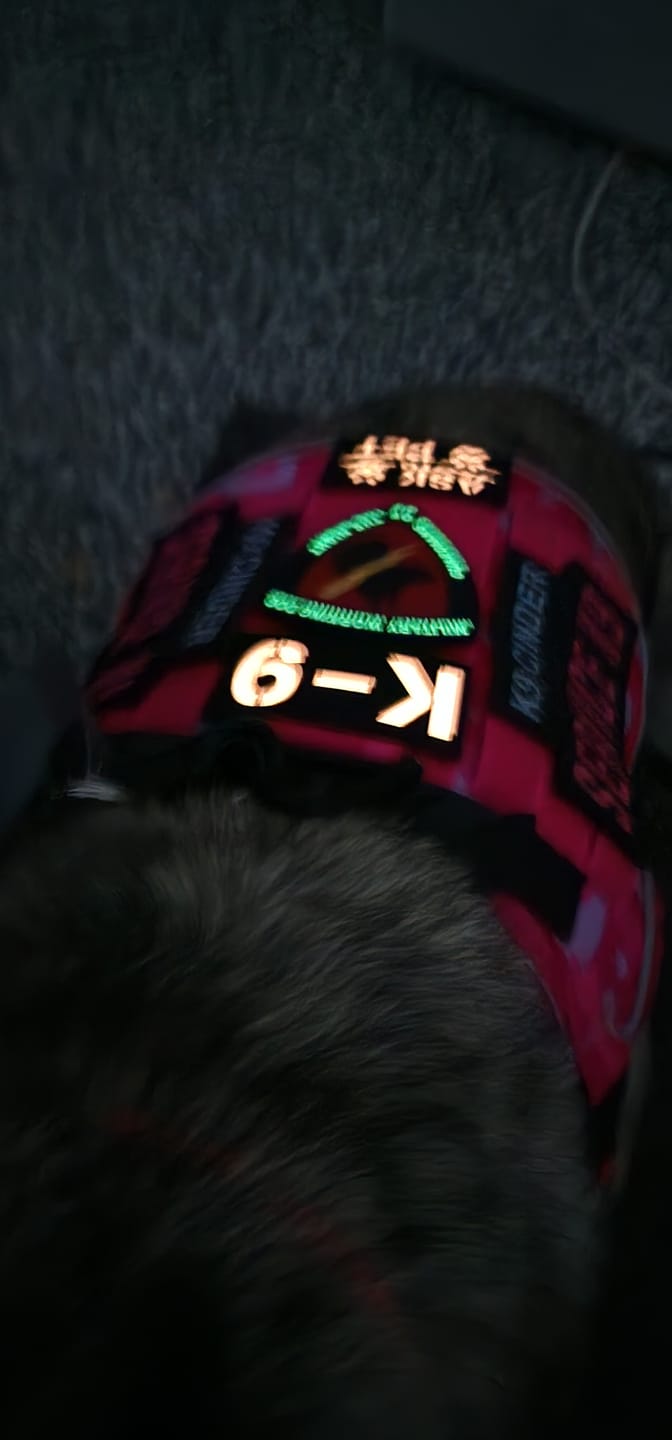 Customer photo review of Adjustable Dog Goggles (Doggles)