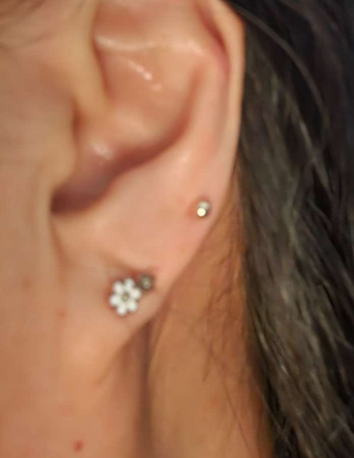 Customer photo review of 14K Gold Ball Cartilage Earring 2mm/2.5mm/3mm/4mm/5mm/6mm 20G