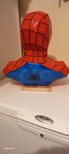 Customer photo review of Patrons Buste Spiderman