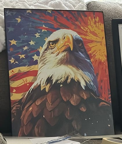 Customer photo review of Eagle of Liberty - Paint by Numbers