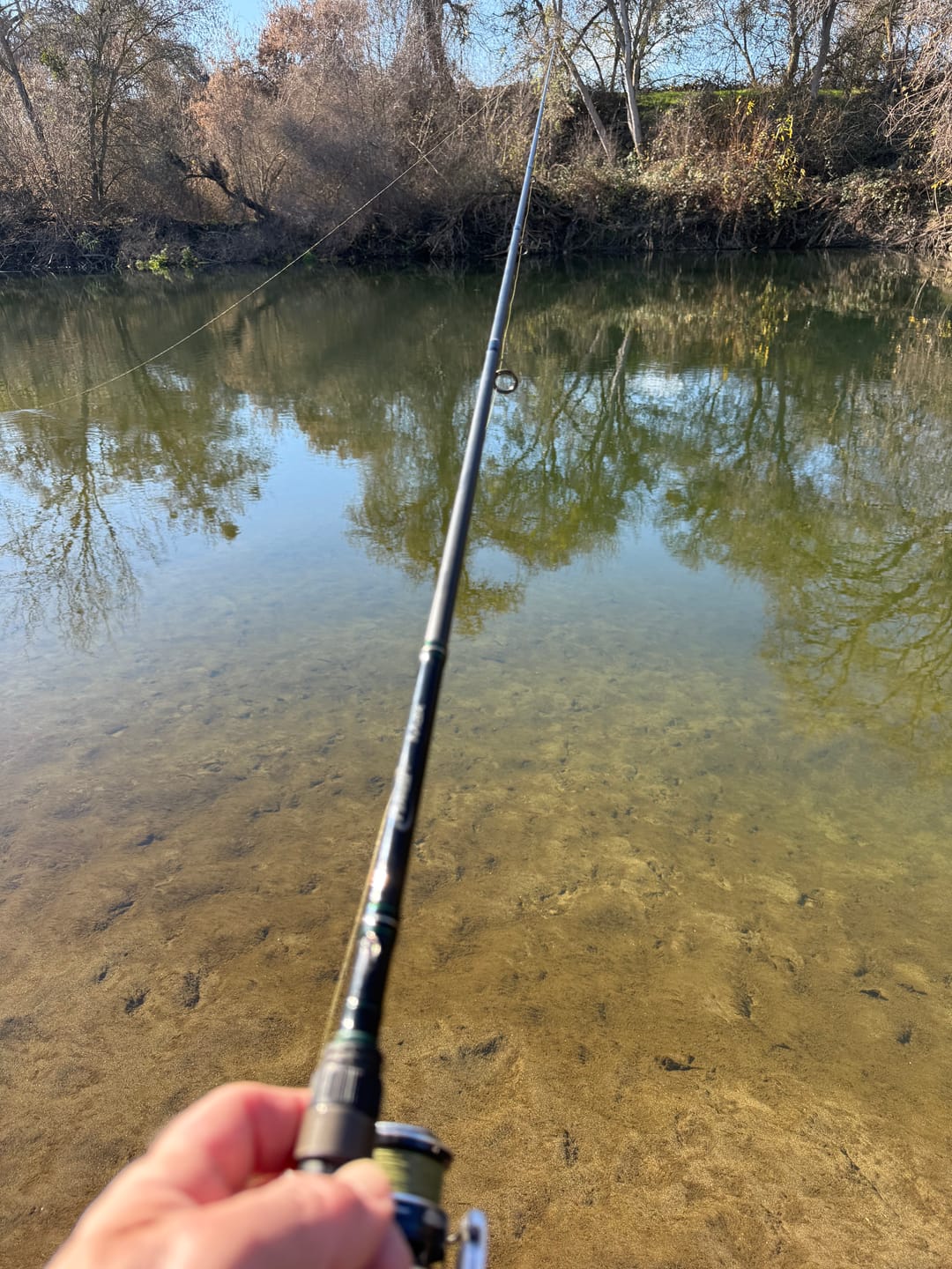 Customer photo review of Moss Camo 300-2000 Yard Spools