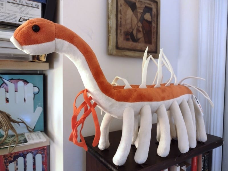 Customer photo review of Hallucigenia Cambrian Animal Soft Stuffed Plush Toy