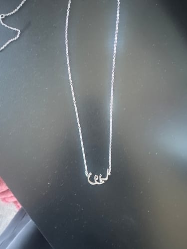 Customer photo review of Shipping Protection