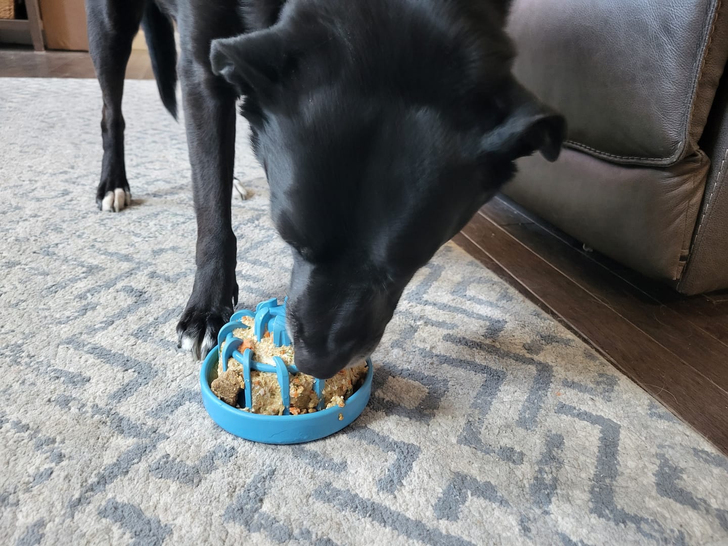Customer photo review of FreezLava Heavy-Duty Enrichment Chew