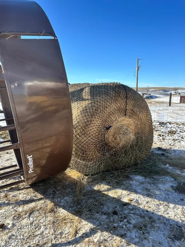 Customer photo review of Hay Chix® Large Bale Net - 5'   "The Goldilocks"