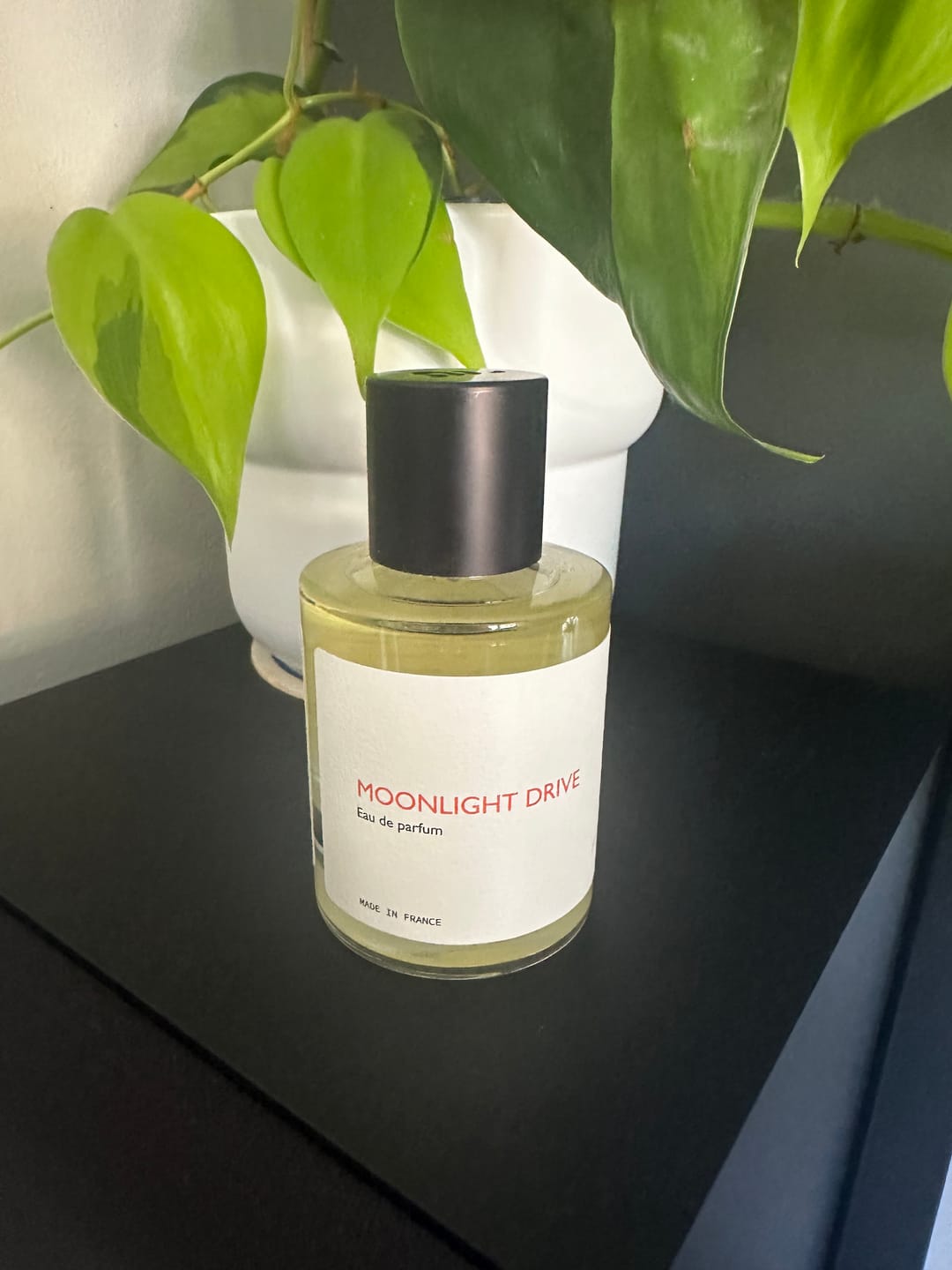 Customer photo review of Moonlight Drive