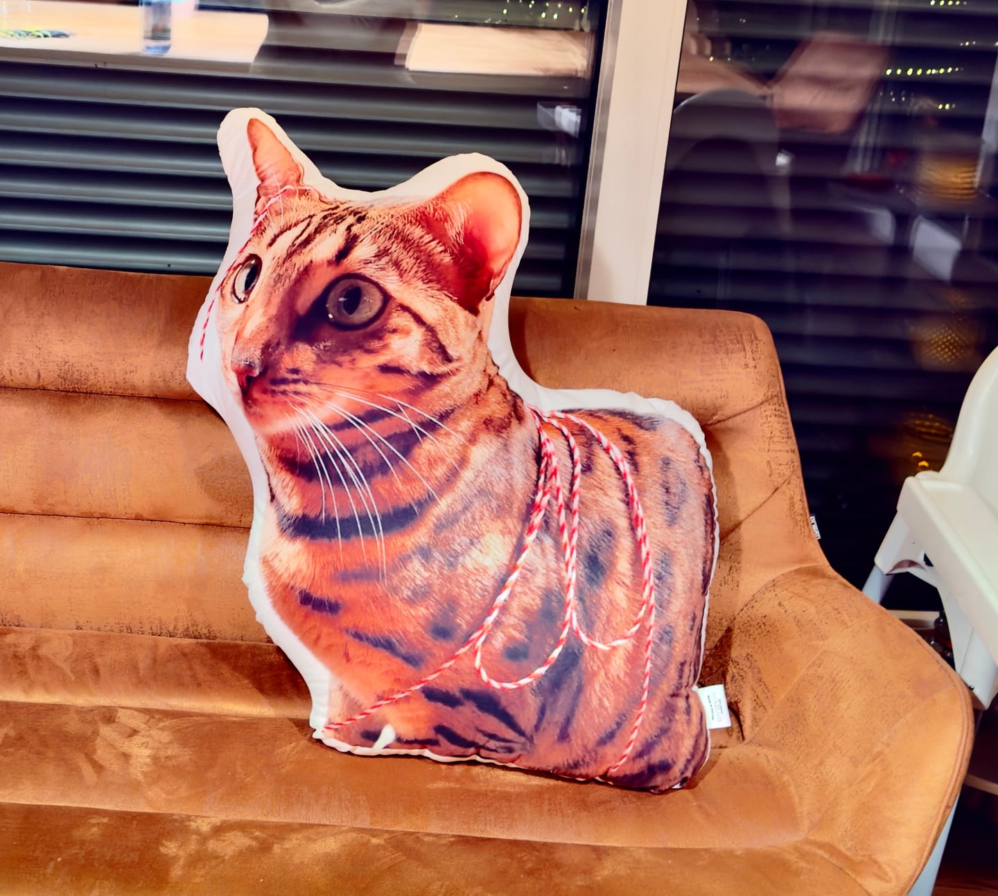 Customer photo review of Personalisiertes Katzenkissen