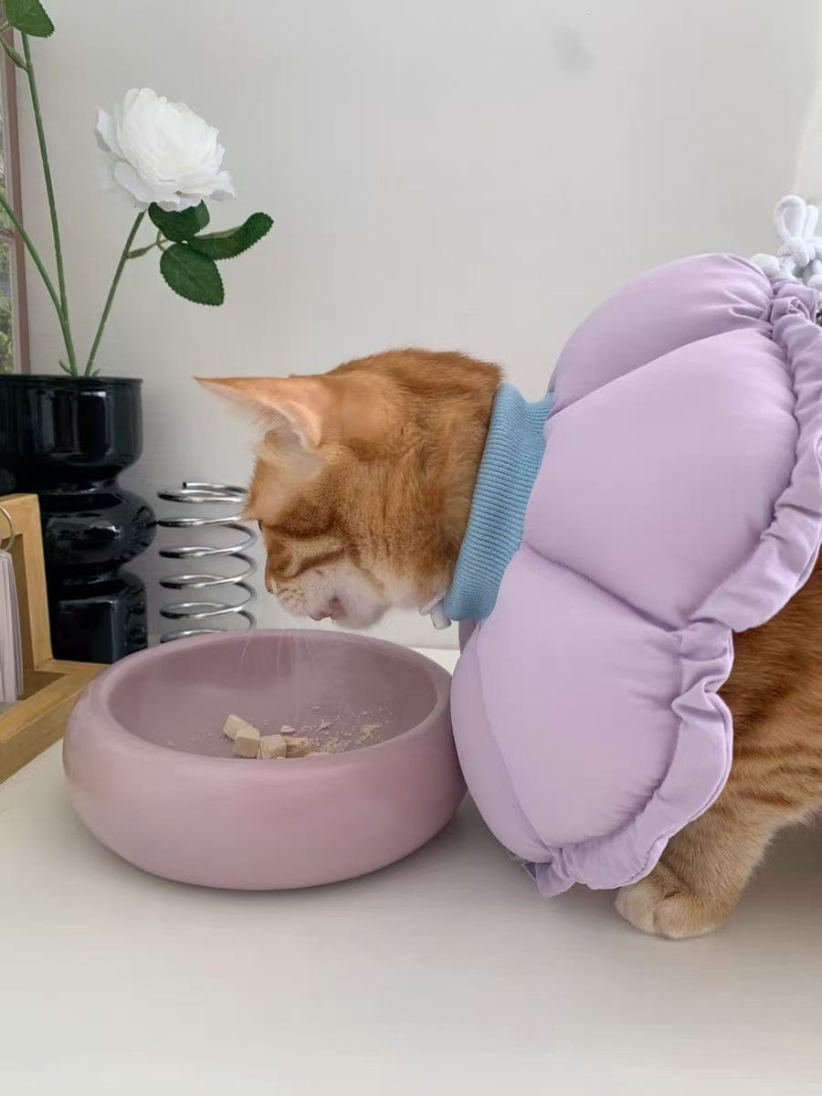 Customer photo review of Upgraded Floral Elizabeth Collar - Comfortable for Eating and Sleeping