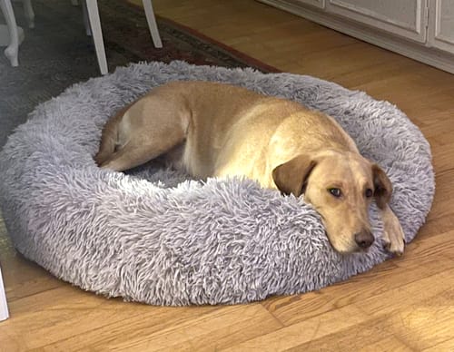 Customer photo review of CalmBed - Motverkar stress & hjälper mot ångest