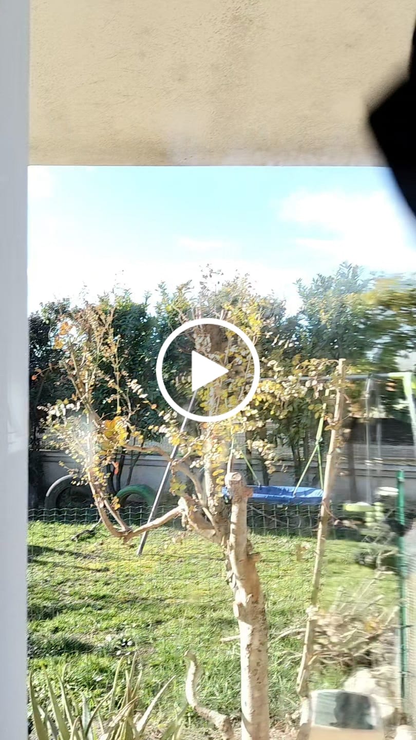 Customer video review of Panno Rapido Lava e Asciuga in una Passata | Il panno più venduto su TIKTOK