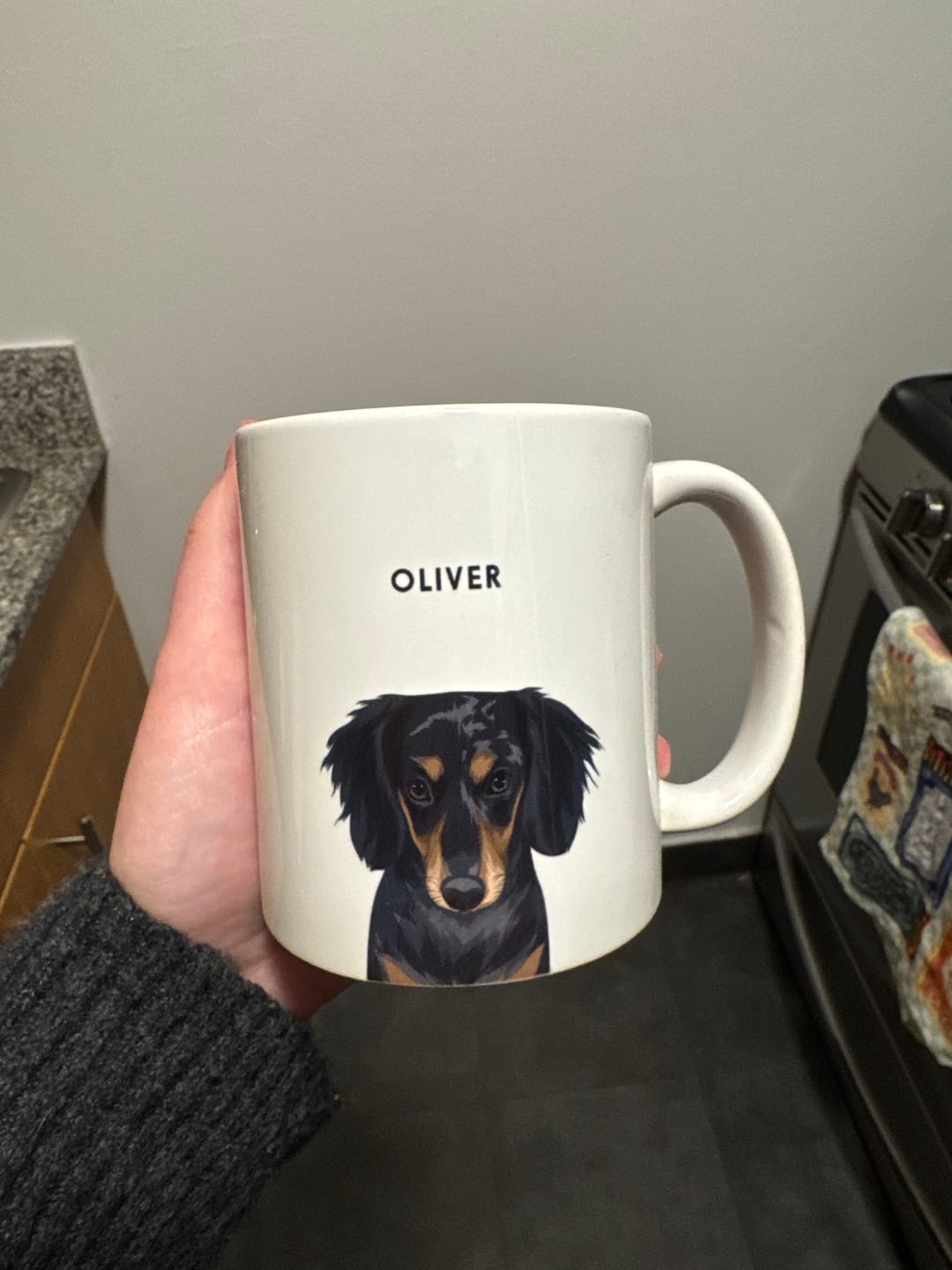 Customer photo review of Custom Pet Portrait Mug