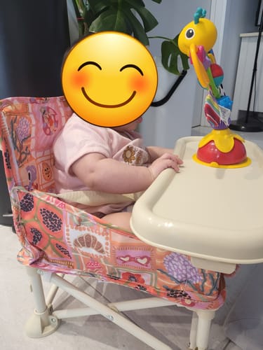 Customer photo review of Amy baby chair v2