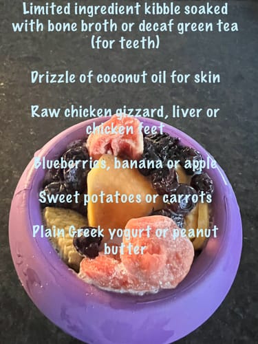 Customer photo review of Freezball - Durable Fillable Dog Chew Bone